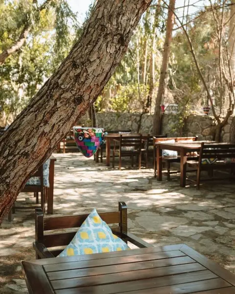 Бодрум: Lemon Garden Hotel Turkbuku