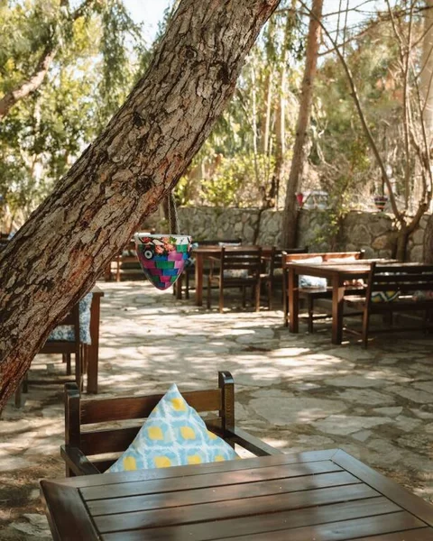 Бодрум: Lemon Garden Hotel Turkbuku