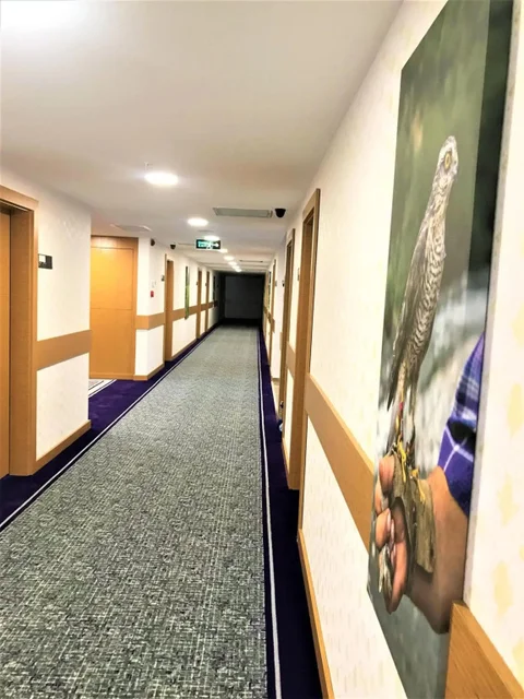 Узунгёль: Golden Inn Hotel Uzungol