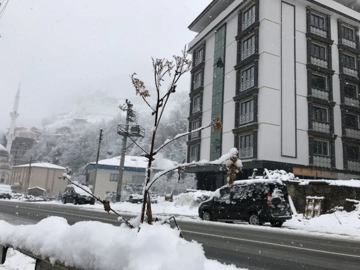 Узунгёль: Golden Inn Hotel Uzungol