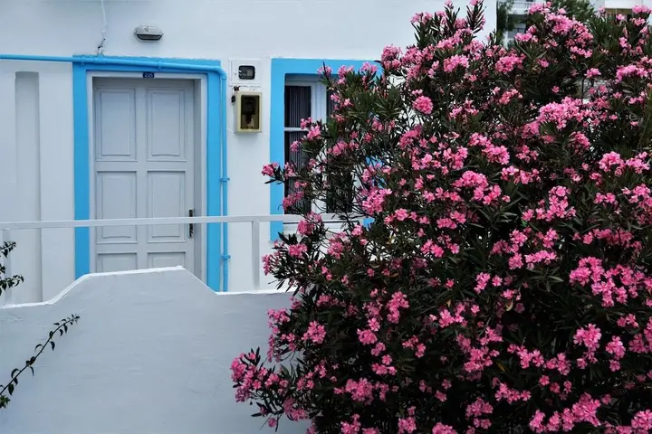 Бодрум: Palma Hotel