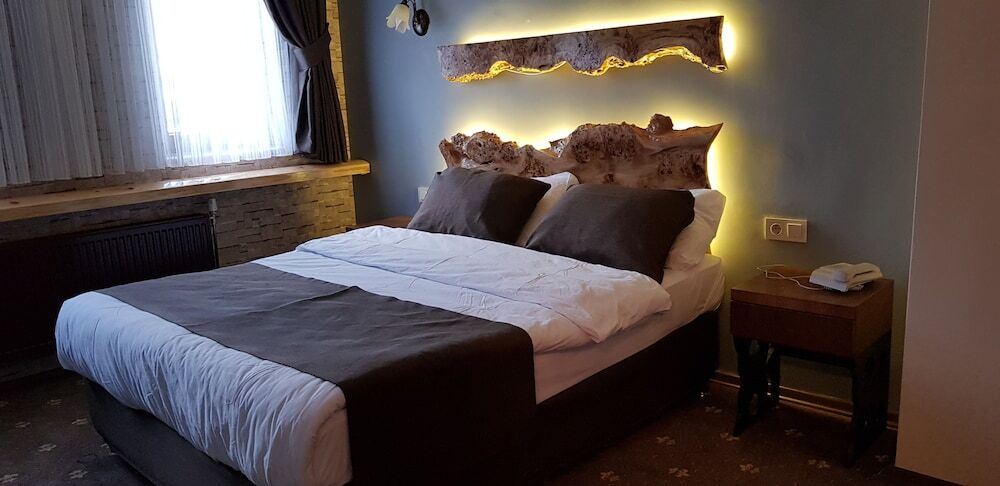 Сарыкамыш: Sarikamis Kayi Snow Otel