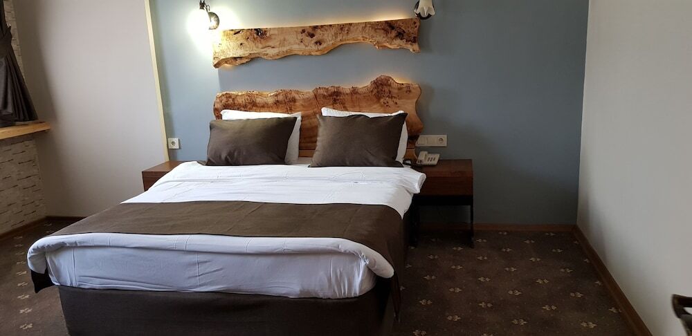 Сарыкамыш: Sarikamis Kayi Snow Otel