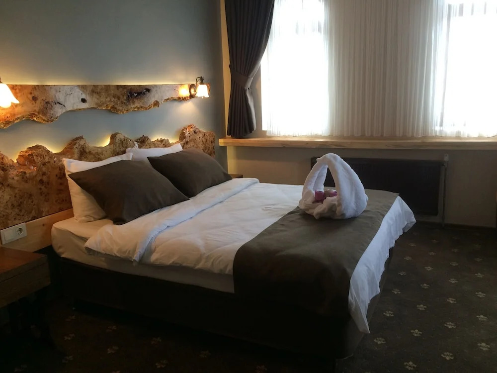 Сарыкамыш: Sarikamis Kayi Snow Otel