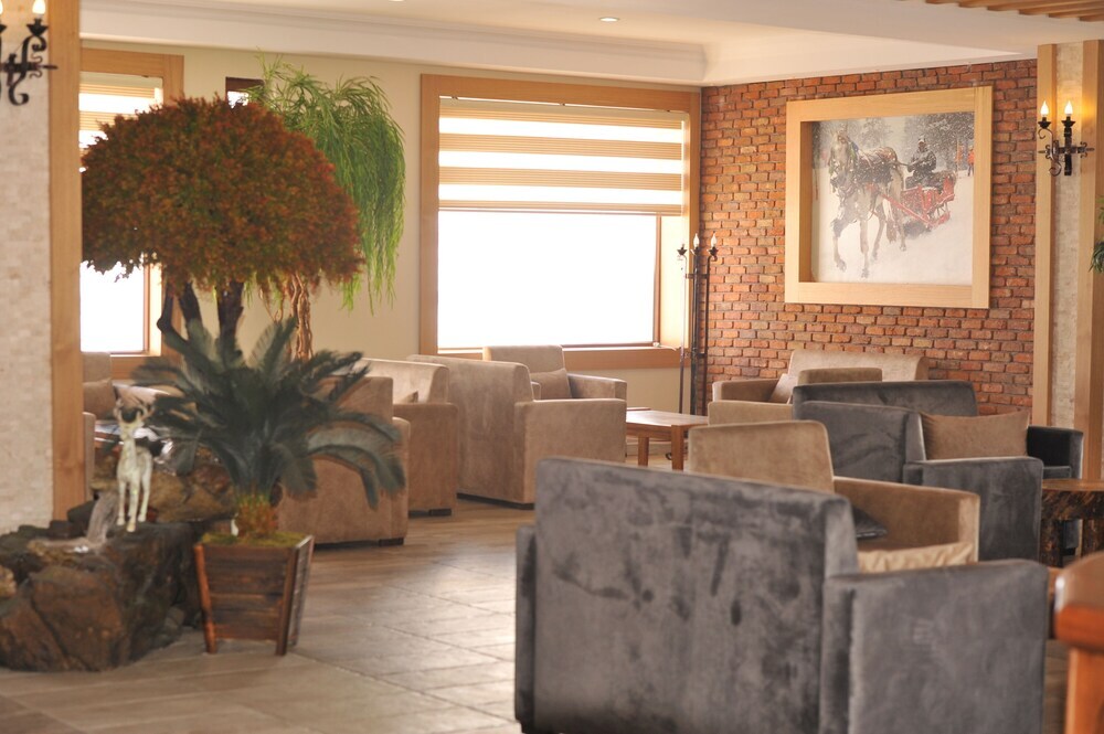 Сарыкамыш: Sarikamis Kayi Snow Otel