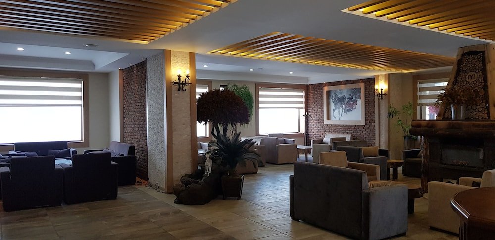 Sarikamis Kayi Snow Otel — фото 4