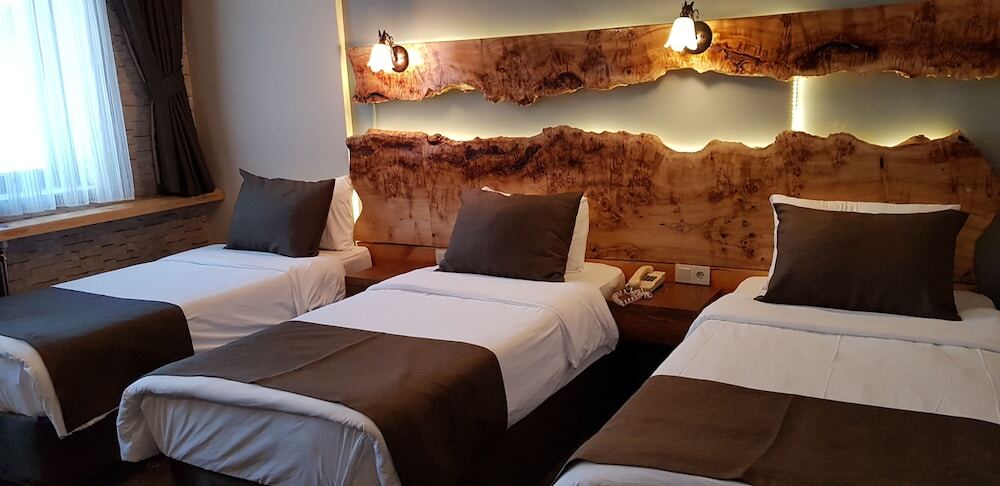 Сарыкамыш: Sarikamis Kayi Snow Otel