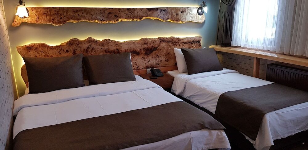 Сарыкамыш: Sarikamis Kayi Snow Otel