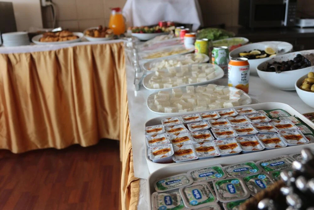 Дюздже: Düzce Han Otel