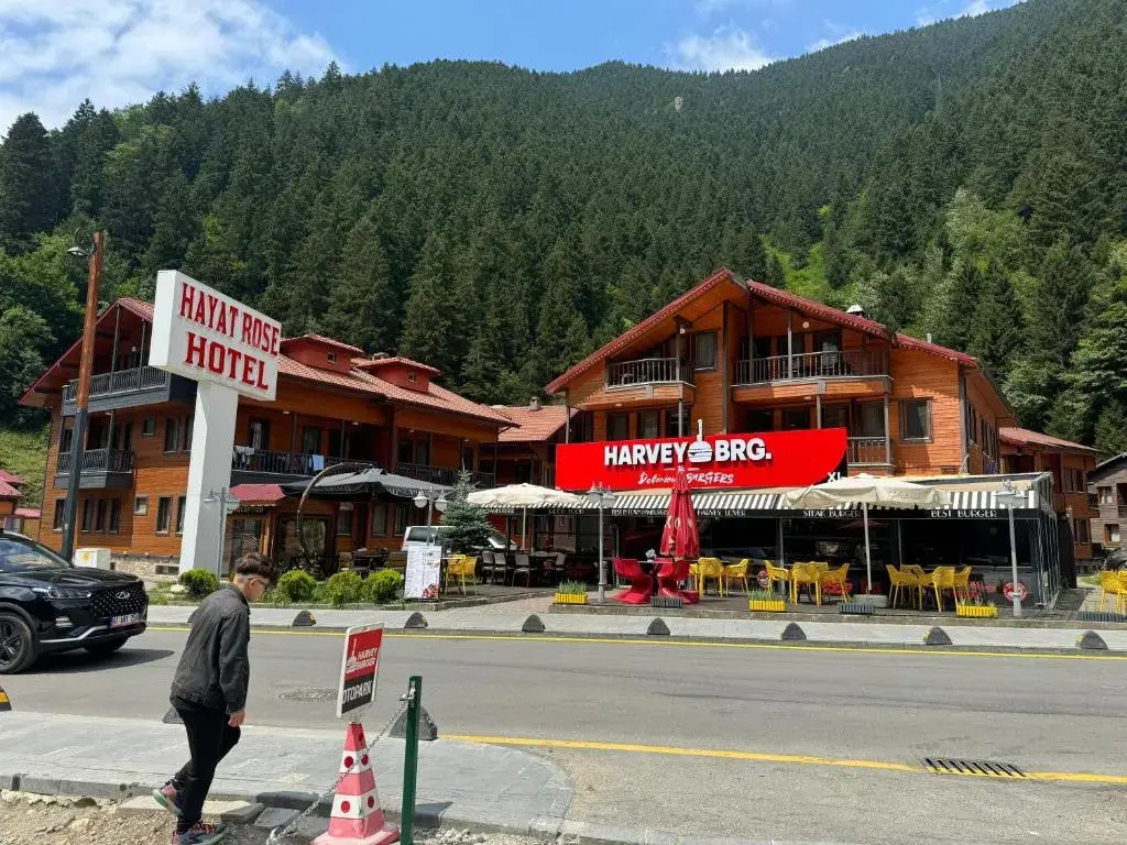 Узунгёль: Hayat Rose Hotel
