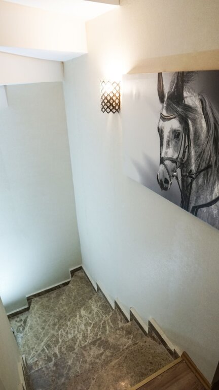 Бююкада: Pelit Boutique Hotel
