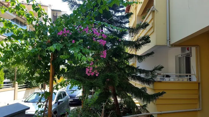Мармарис: Sanem Apartments - Adults Only