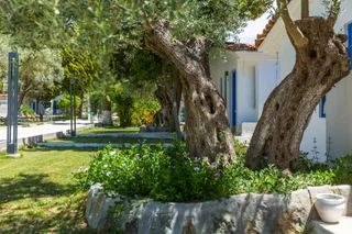 Кушадасы: Risus Garden Marina Hotel