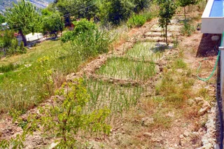 Исламлар: Villa Beyaz