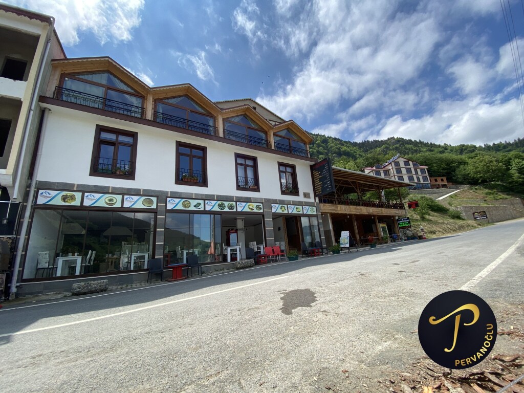 Гюмюшхане: Hamsikoy Tas Otel