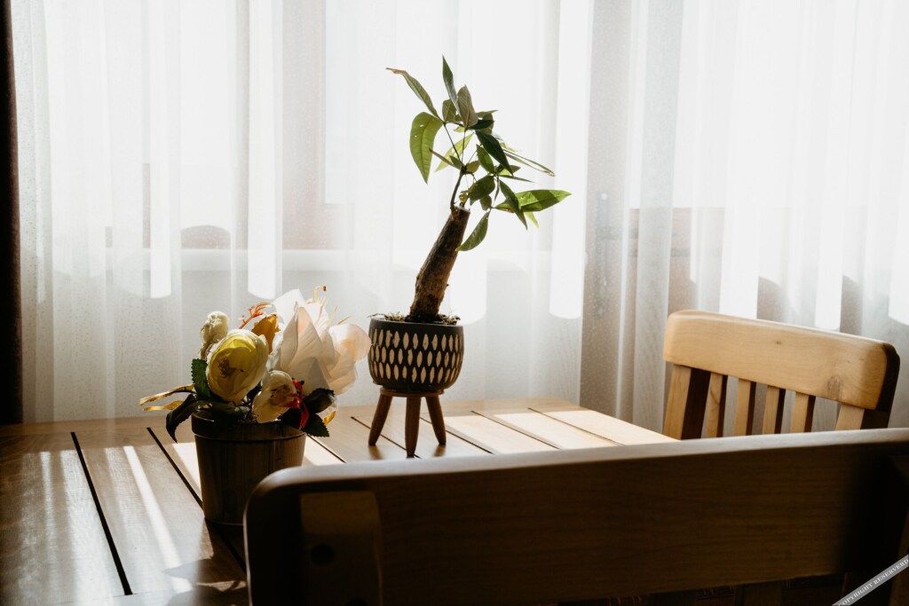 Зейтинликой: Azra Apart & Otel