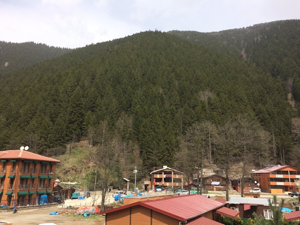 Узунгёль: Elit Uzungöl Otel
