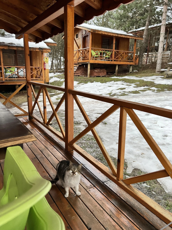 Гереде: Nesilce Tatil Koyu
