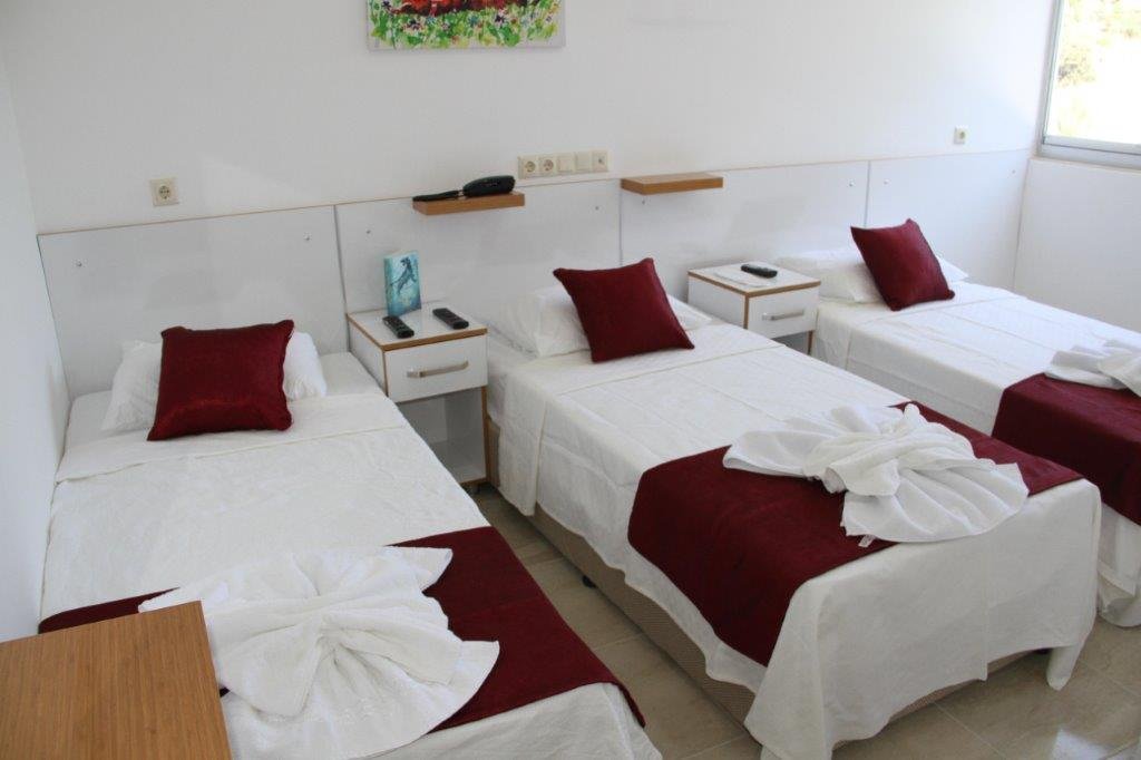 Капикири: Aelbistan Otel