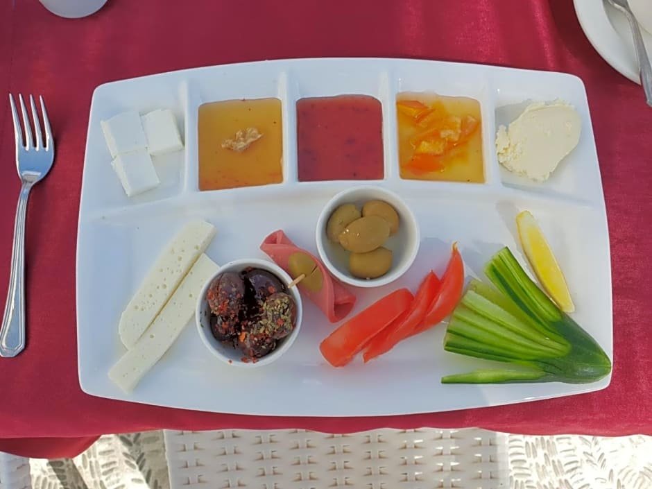 Капикири: Aelbistan Otel