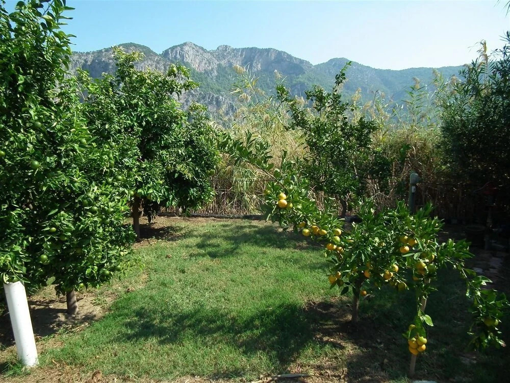 Дальян: Villa Nazli