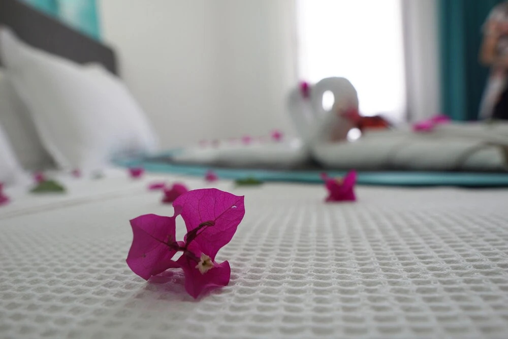 Бодрум: Casa Aria Hotel