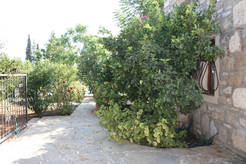 Бодрум: Important Group Villa Citrus