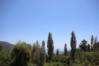 Исламлар: Villa Heves