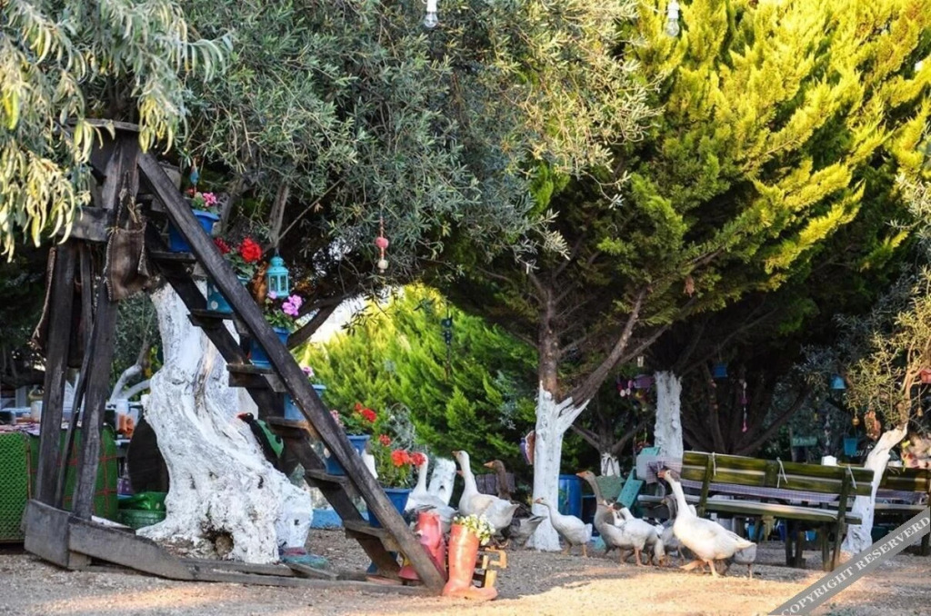 Kaymak Tepesi Tatil Evi — фото 6