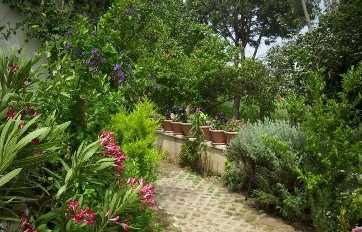 Согучак: Villa Demirci 5