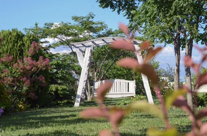 Анапа: Гостевой дом Александрия