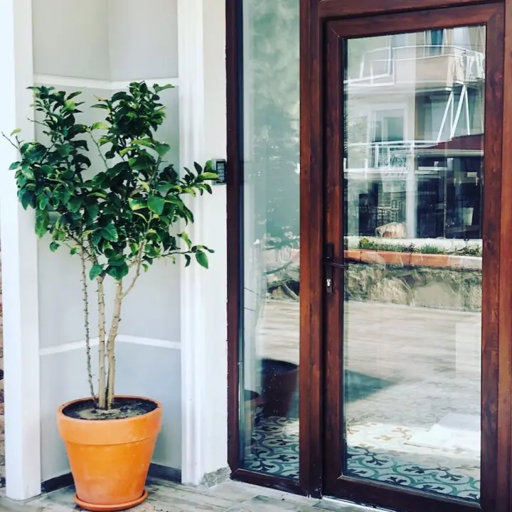 Айвалык: Lemon Garden Cunda