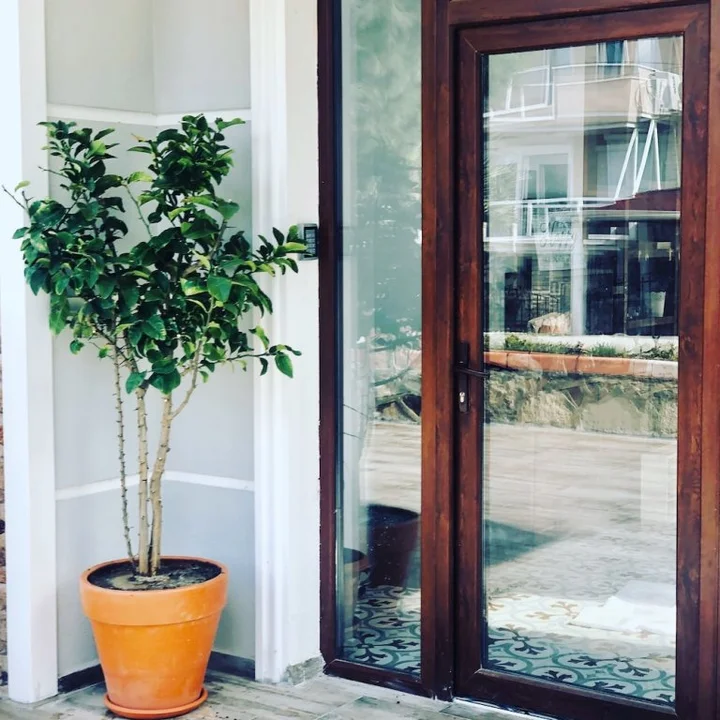 Айвалык: Lemon Garden Cunda