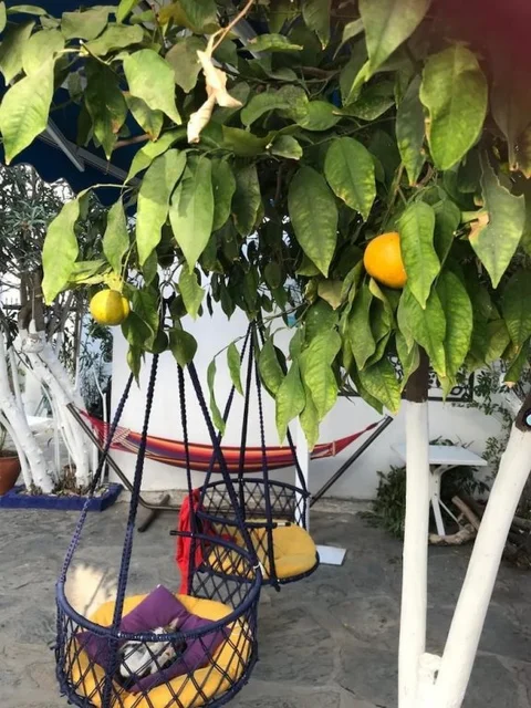Бодрум: Zumrut Butik Bodrum