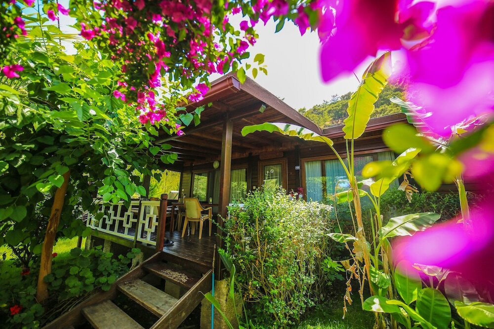 Чиралы: Cirali Villa Zeytin