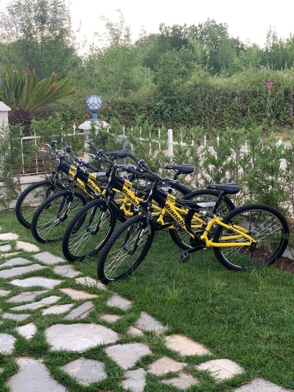 Сайл: Palmiye Hotel Ağva