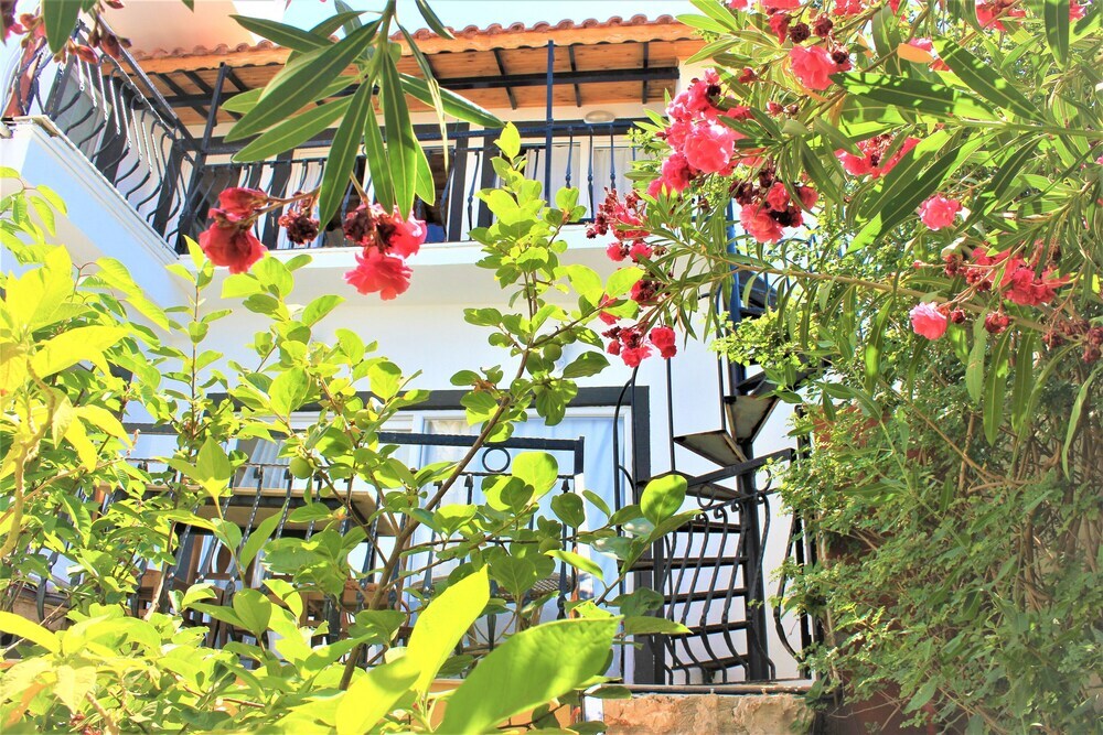 Калкан: Villa Asoa