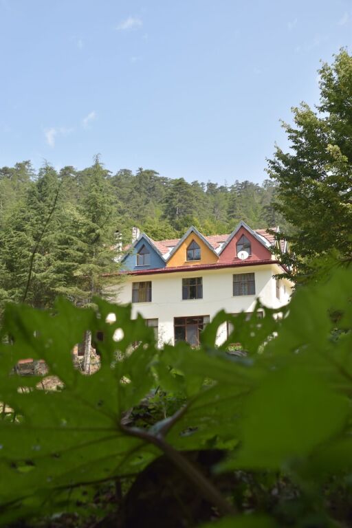 Гереде: Mengen - Yenice Orman Evi