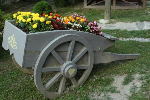 Сакарья: Gonul Sofrasi Boutique Hotel & Bungalow