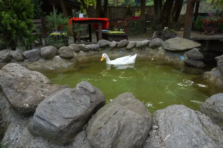Сакарья: Gonul Sofrasi Boutique Hotel & Bungalow