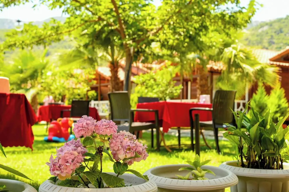 Чиралы: Villa Efsane Hotel