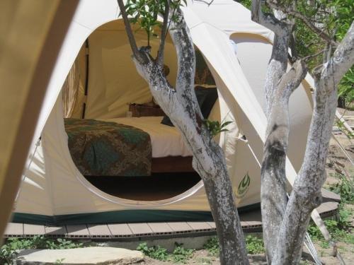 Тургутрейс: Azure Wellness Retreat - Adults Only