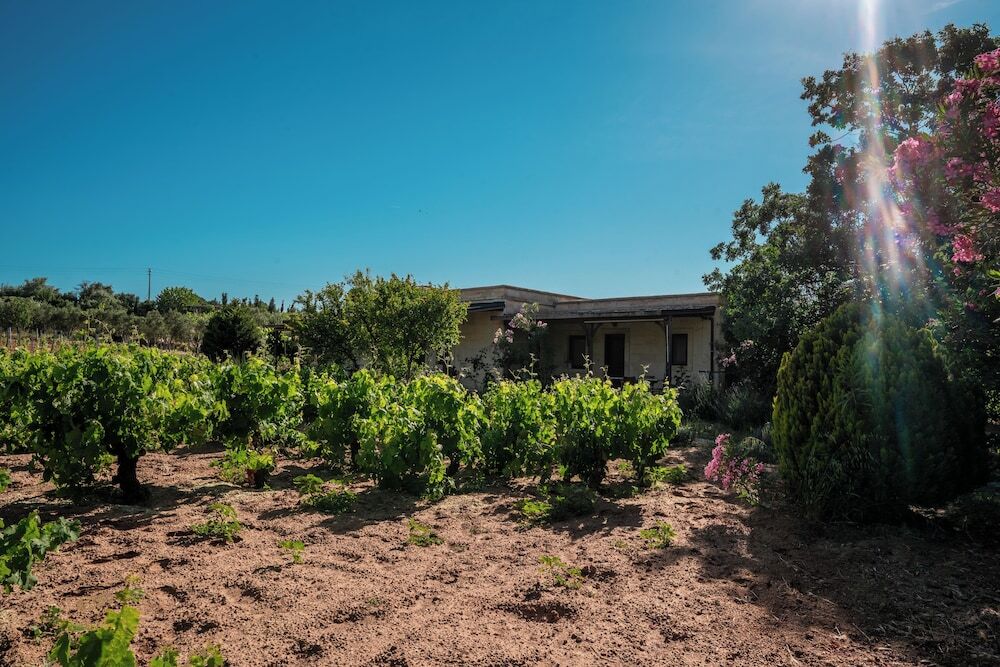Бозджаада: Bagbadem Tatil Ciftliği