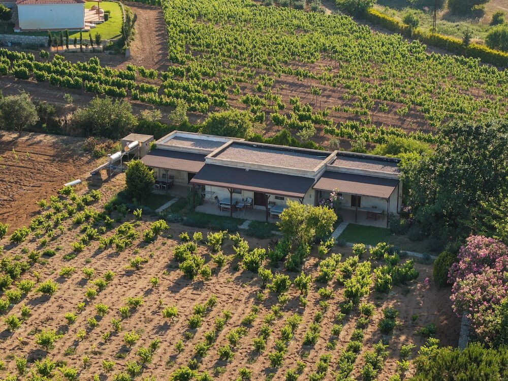 Бозджаада: Bagbadem Tatil Ciftliği