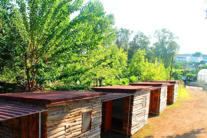 Medusa Bar & Camping - Hostel — фото 1