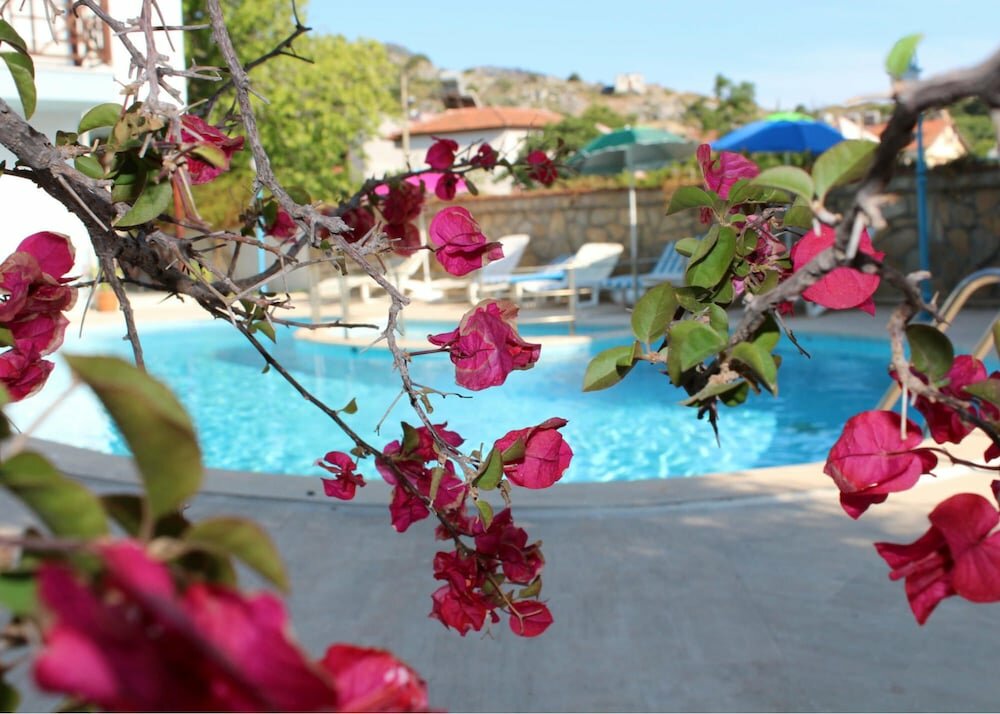 Дальян: Turtle Beach Hotel