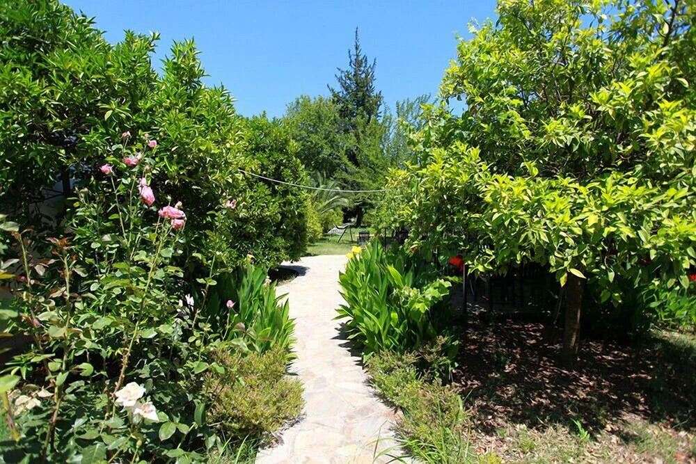 Чиралы: Dolunay Apart Otel