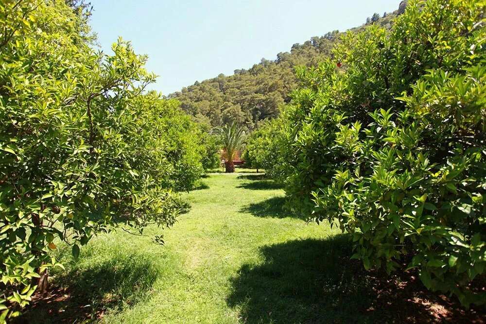 Чиралы: Dolunay Apart Otel