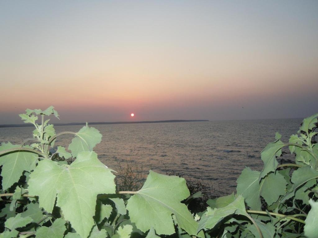 Синоп: Hamsilos Tatil Koyu & Apart Hotel