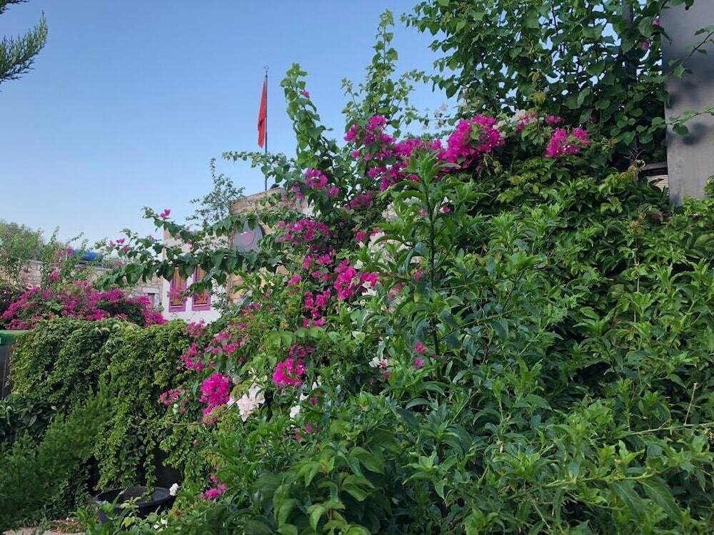 Бодрум: Pepecura Bodrum